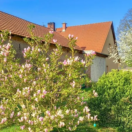Apartment Rheinsberg Kunkelberg