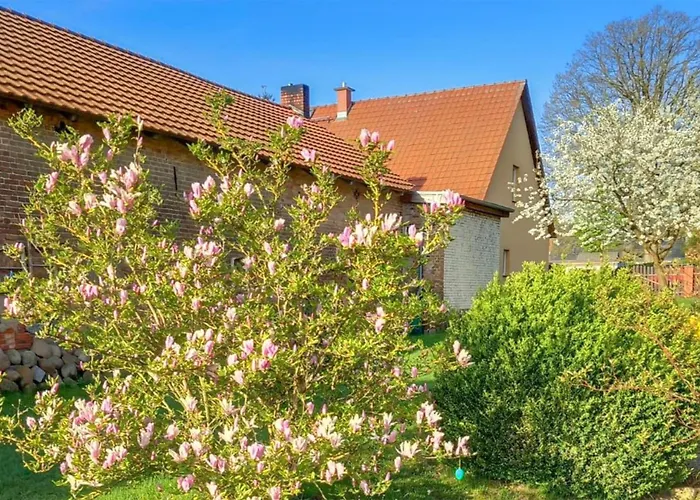 Lägenhet Rheinsberg Kunkelberg